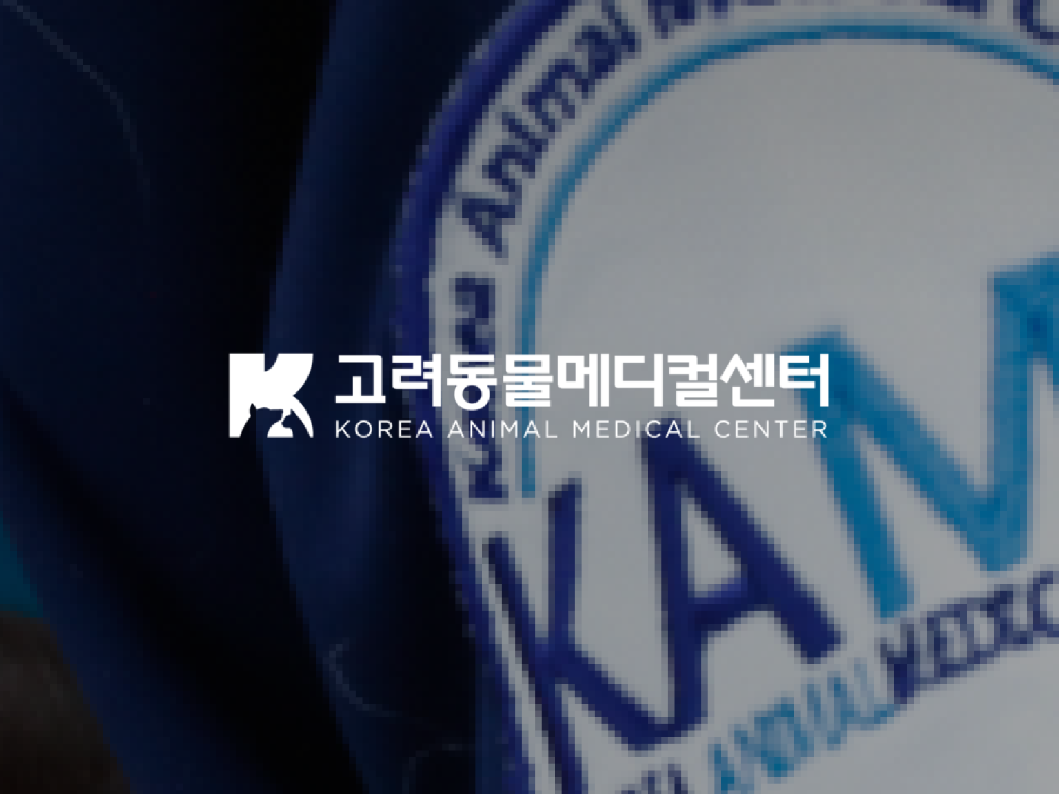 고려동물메디컬센터 웹사이트 디자인